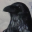 What’s up with all those equals signs, anyway? | Lars Ingebrigtsen favicon