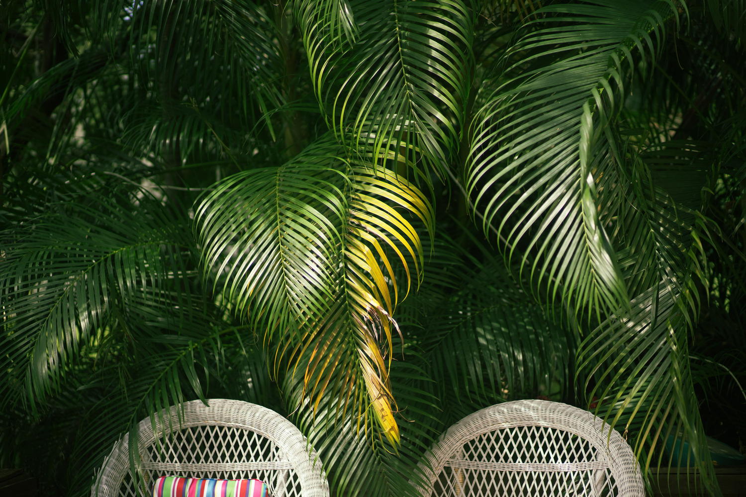 Miami