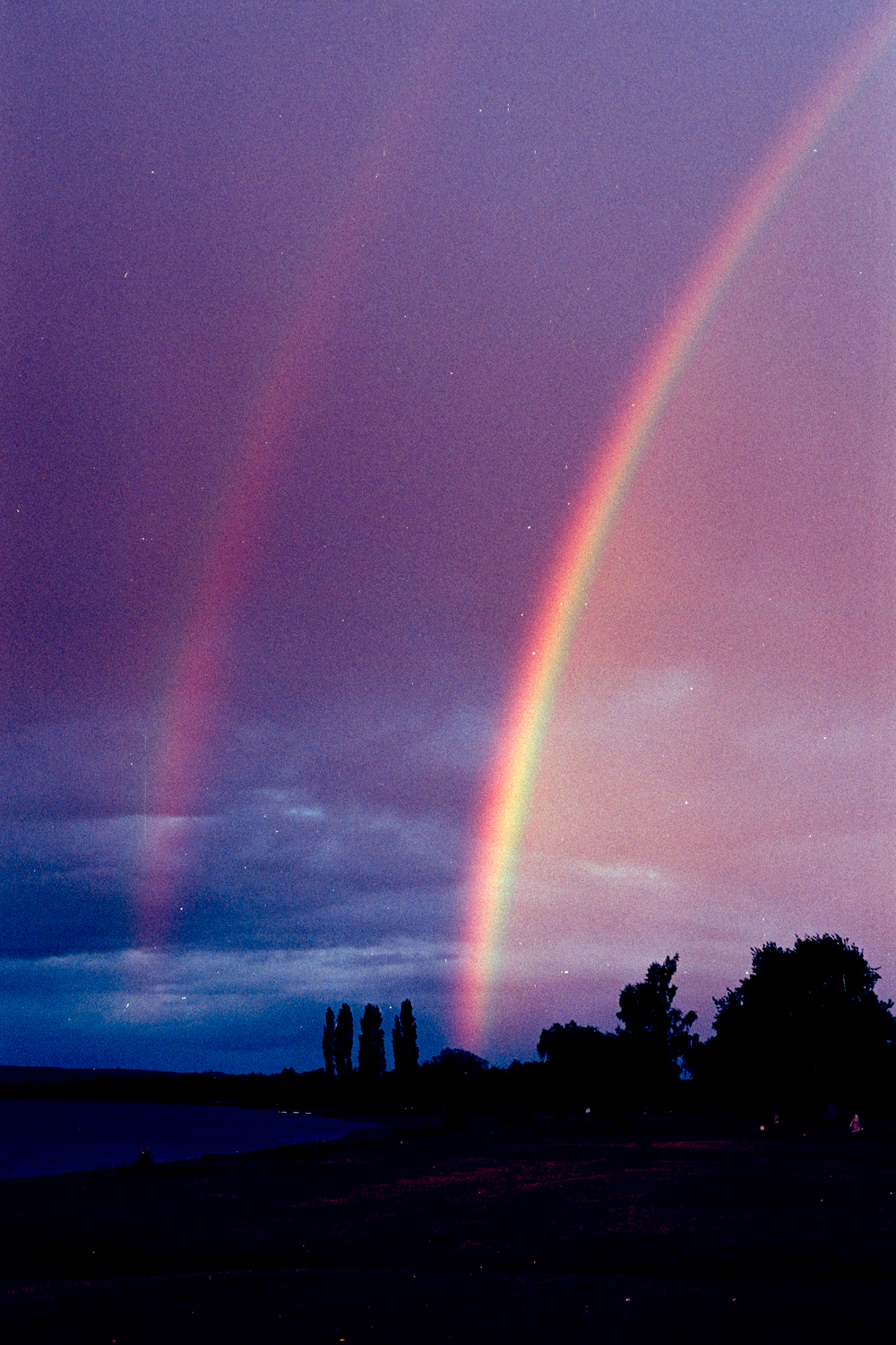 Rotorua rainbow