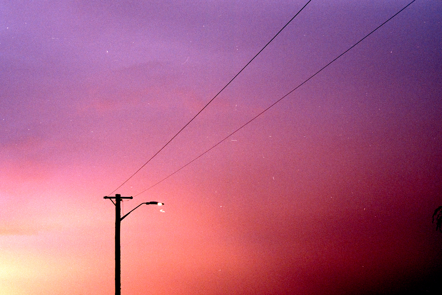 Rotorua dusk