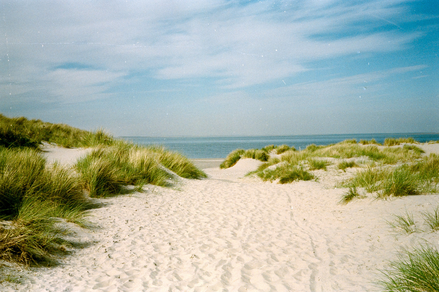 Texel beach