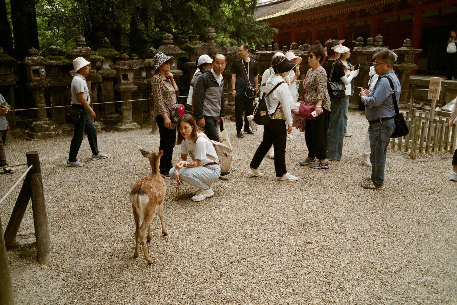 Nara