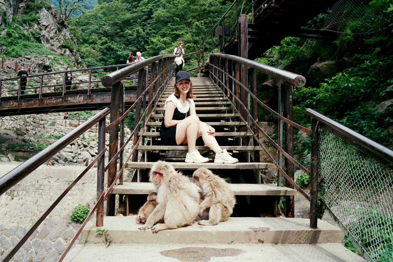 Snow Monkey Park