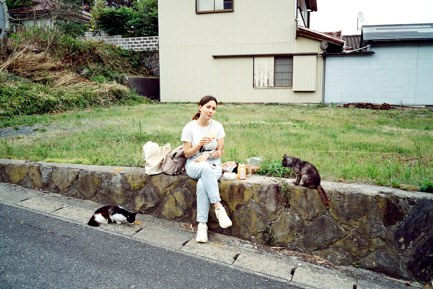 Tashirojima Island