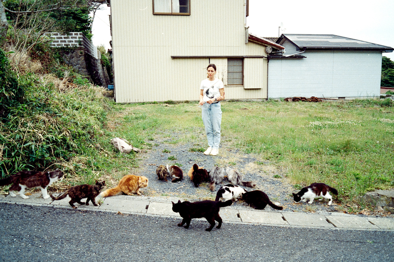 Tashirojima Island