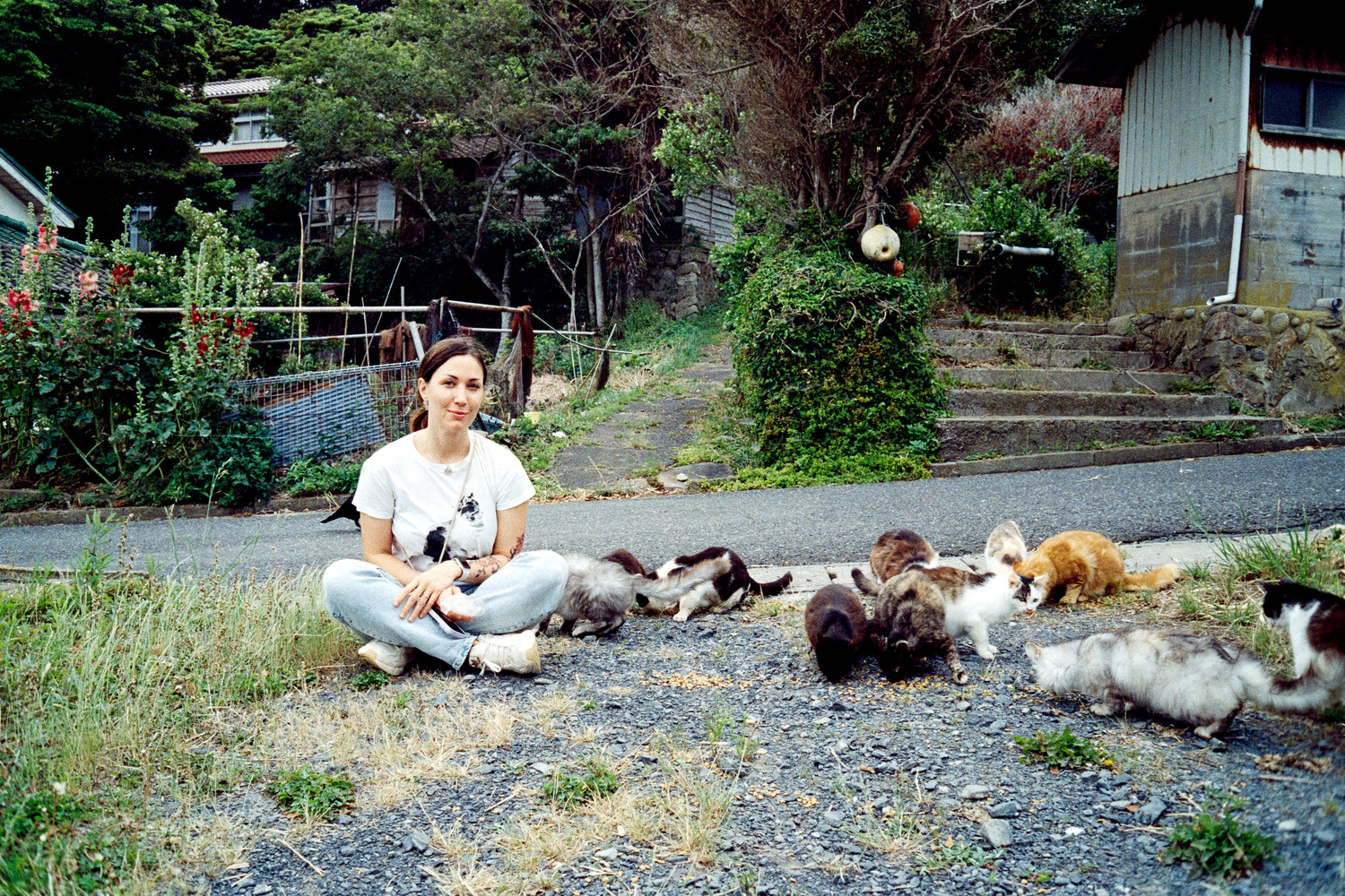 Tashirojima Island