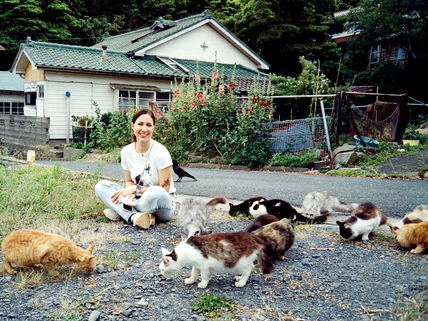 Tashirojima Island