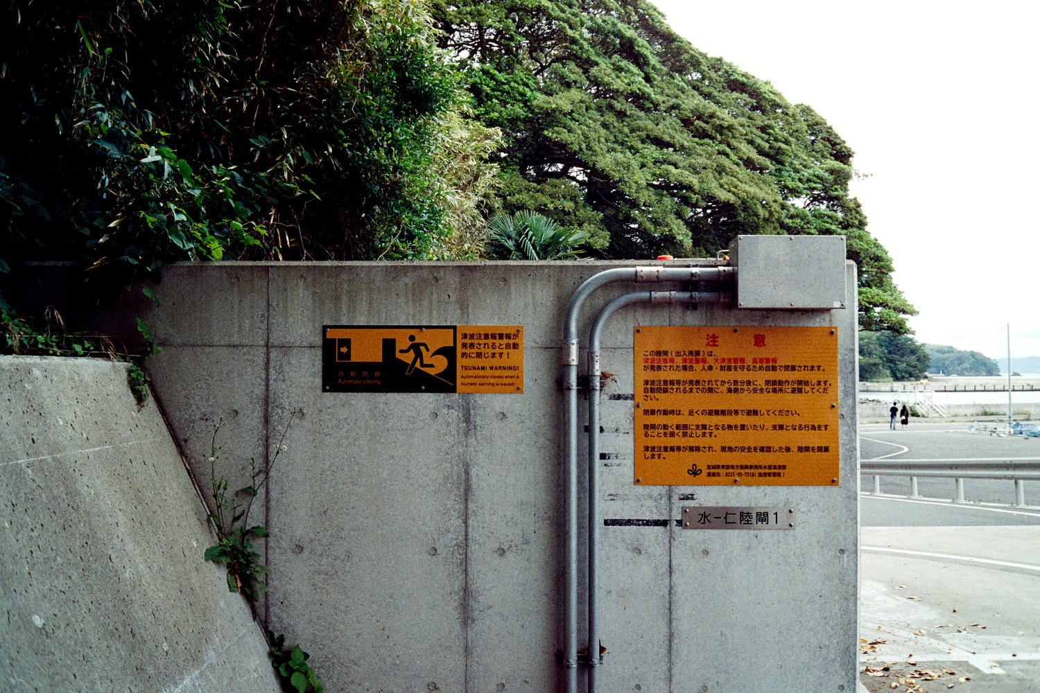 Tashirojima Island