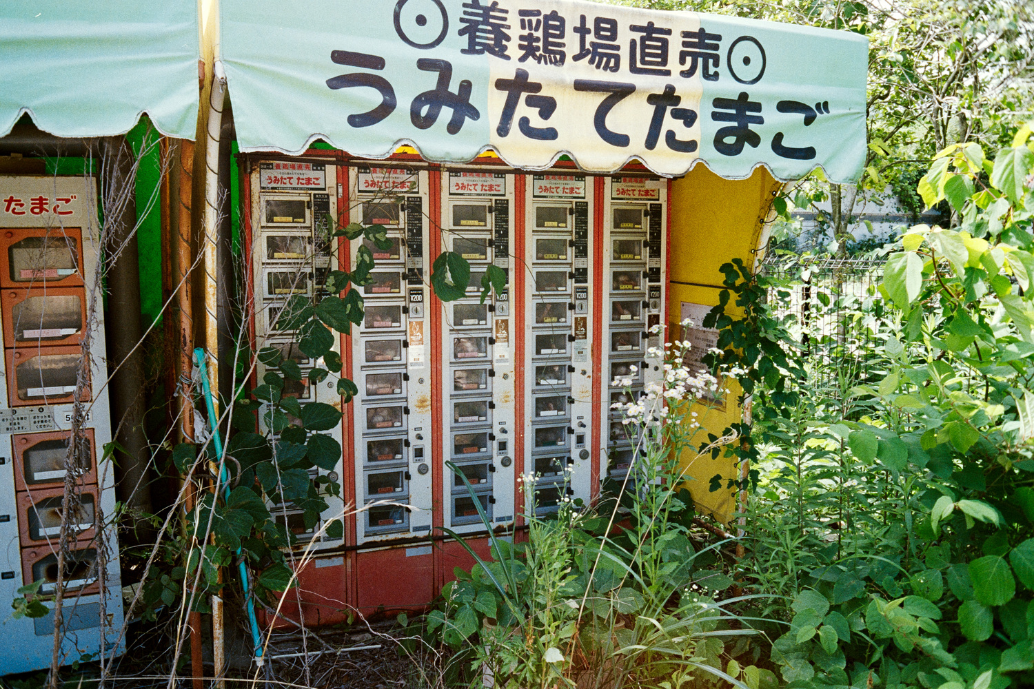 Abandoned Fukushima