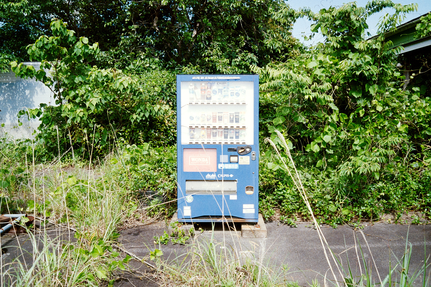 Abandoned Fukushima