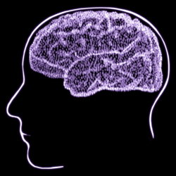 Userbox image